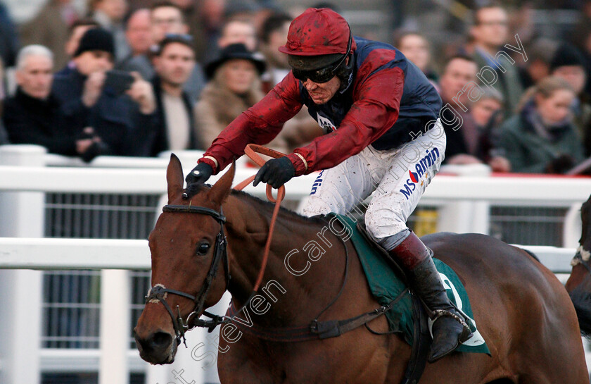 Crooks-Peak-0004 
 CROOKS PEAK (Richard Johnson) wins The High Sheriff Of Gloucestershire's Standard Open National Hunt Flat Race Cheltenham 19 Nov 2017 - Pic Steven Cargill / Racingfotos.com