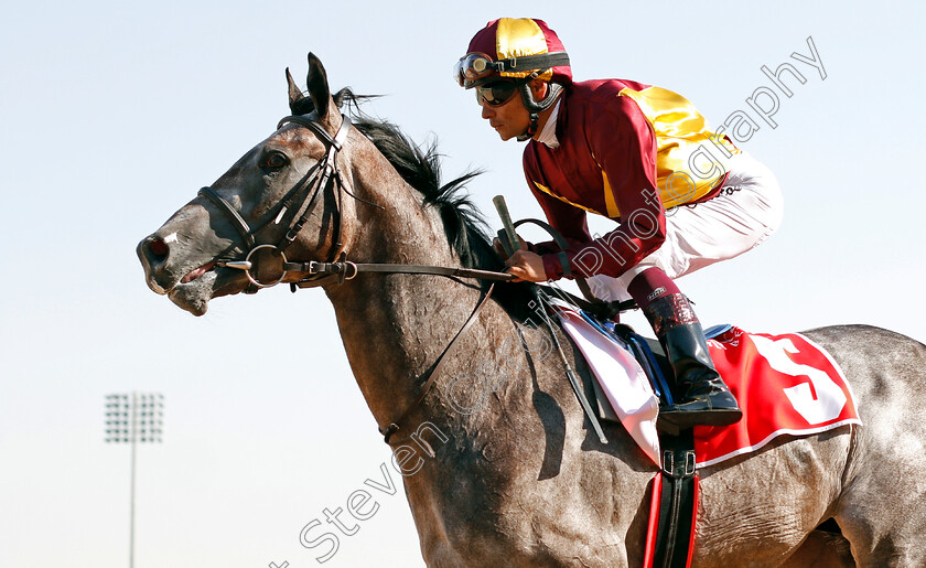 Grey-Flash-0001 
 GREY FLASH (Carlos Lopez)
Meydan 7 Mar 2020 - Pic Steven Cargill / Racingfotos.com