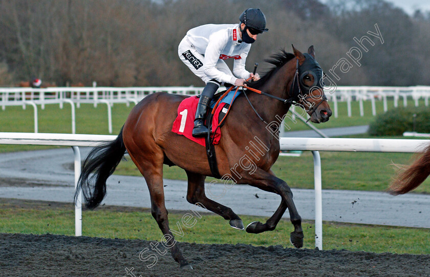 Mack-The-Knife-0001 
 MACK THE KNIFE (Daniel Muscutt) winner of The Join Racing TV Now Classified Stakes
Kempton 16 Feb 2021 - Pic Steven Cargill / Racingfotos.com