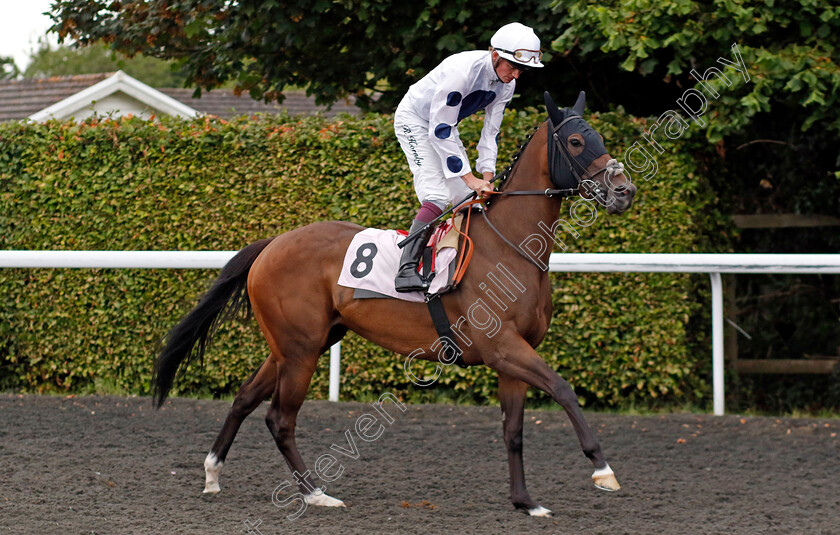 Ghaihaban-0001 
 GHAIHABAN (Rob Hornby)
Kempton 7 Aug 2024 - Pic Steven Cargill / Racingfotos.com