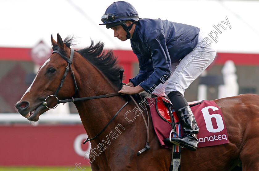 Armory-0003 
 ARMORY (Ryan Moore)
Longchamp 6 Oct 2019 - Pic Steven Cargill / Racingfotos.com