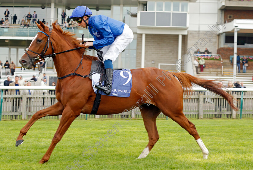 Thundershower-0001 
 THUNDERSHOWER (William Buick)
Newmarket 23 Sep 2022 - Pic Steven Cargill / Racingfotos.com