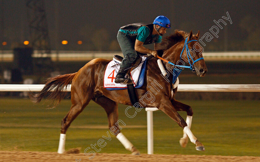 Gunnevera-0001 
 GUNNEVERA exercising in preparation for The Dubai World Cup Meydan 28 Mar 2018 - Pic Steven Cargill / Racingfotos.com