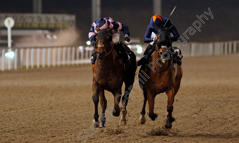 Dark-Pine-0002 
 DARK PINE (left, Rossa Ryan) beats ARIJ (right) in The chelmsfordcityracecourse.com Handicap
Chelmsford 14 Jan 2021 - Pic Steven Cargill / Racingfotos.com