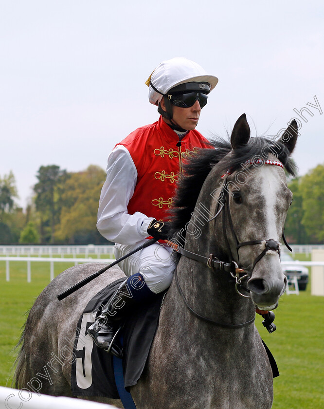 Jasour-0005 
 JASOUR (Jim Crowley) winner of The Commonwealth Cup Trial Stakes
Ascot 1 May 2024 - Pic Steven Cargill / Racingfotos.com