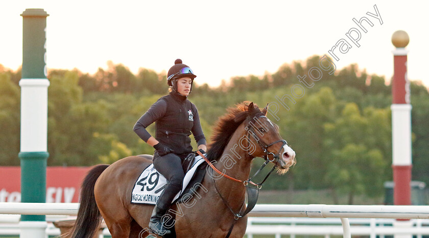 Magical-Morning-0001 
 MAGICAL MORNING training at Meydan, Dubai
2 Feb 2023 - Pic Steven Cargill / Racingfotos.com