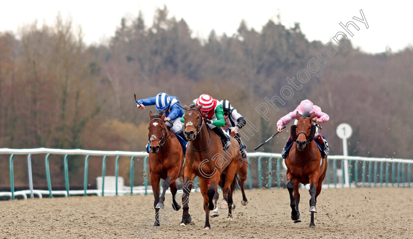 Apex-King-0001 
 APEX KING (Rossa Ryan) beats AHDAB (left) and TINTORETTO (right) wins The Bombardier March To Your Own Drum Handicap
Lingfield 6 Mar 2021 - Pic Steven Cargill / Racingfotos.com