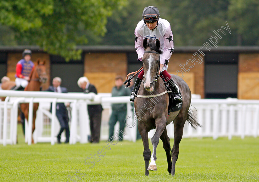 Unfinishedsympathy-0002 
 UNFINISHEDSYMPATHY (Rob Hornby)
Salisbury 2 Sep 2021 - Pic Steven Cargill / Racingfotos.com