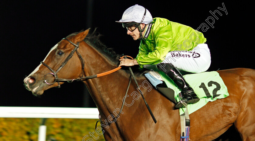 Beatisa-0006 
 BEATISA (Richard Kingscote) wins The 32Red On The App Store Handicap Kempton 4 Oct 2017 - Pic Steven Cargill / Racingfotos.com