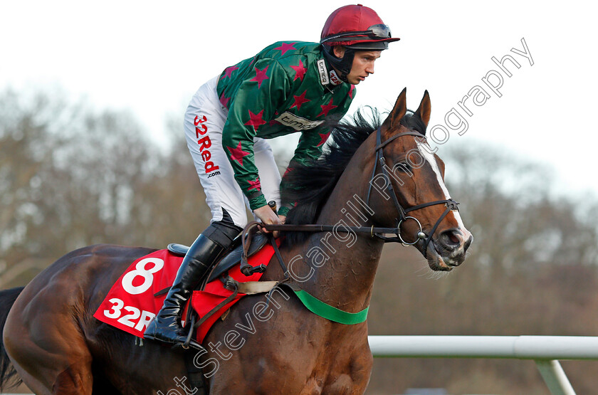 Mister-Whitaker-0001 
 MISTER WHITAKER (Adrian Heskin) Kempton 26 Dec 2017 - Pic Steven Cargill / Racingfotos.com