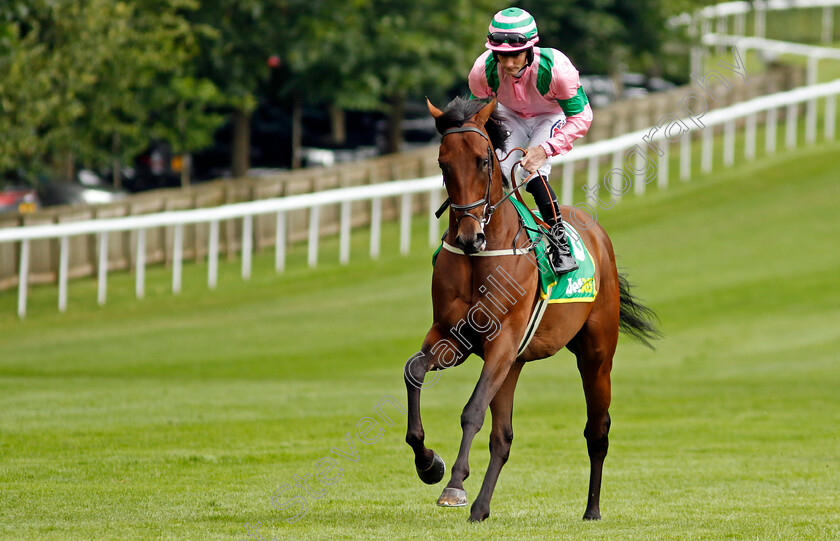 Liveandletlive-0001 
 LIVEANDLETLIVE (Lewis Edmunds)
Newmarket 13 Jul 2024 - Pic Steven Cargill / Racingfotos.com