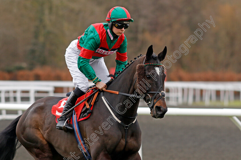 Stoner s-Choice-0002 
 STONER'S CHOICE (Fern O'Brien)
Kempton 22 Feb 2025 - Pic Steven Cargill / Racingfotos.com