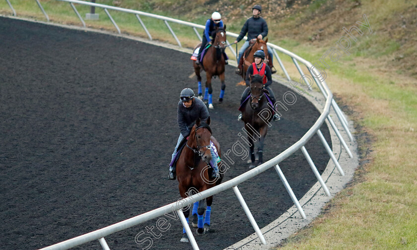 Mishriff-0001 
 MISHRIFF training for the Breeders' Cup Turf
Keeneland USA 1 Nov 2022 - Pic Steven Cargill / Racingfotos.com