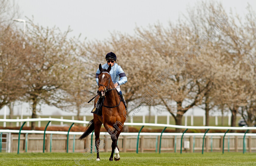 Cachet-0001 
 CACHET (William Buick) winner of The Lanwades Stud Nell Gwyn Stakes
Newmarket 12 Apr 2022 - Pic Steven Cargill / Racingfotos.com