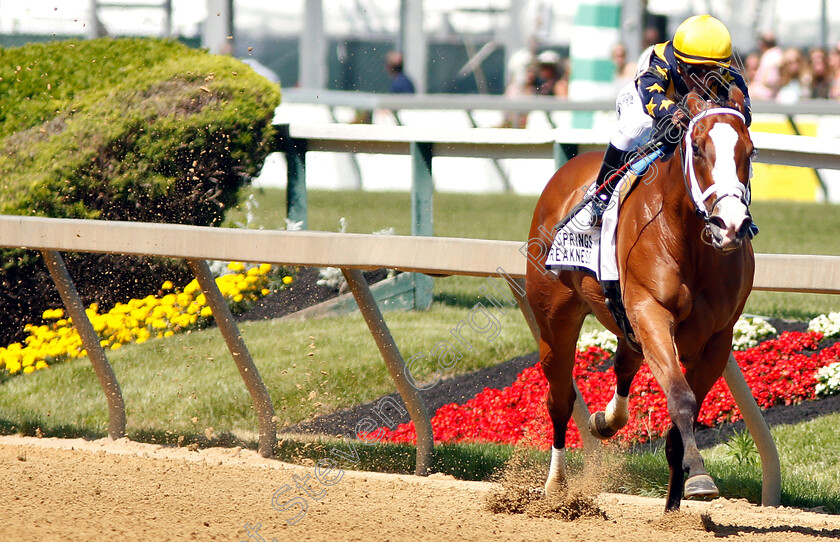 Covfefe-0003 
 COVFEFE (Javier Castellano) wins The Miss Preakness Stakes
Pimlico, Baltimore USA, 17 May 2019 - Pic Steven Cargill / Racingfotos.com