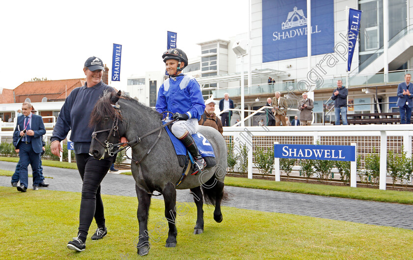 Briar-Smokey-Joe-0005 
 BRIAR SMOKEY JOE (Zak Kent) after The Shetland Pony Grand National Flat Race
Newmarket 27 Sep 2019 - Pic Steven Cargill / Racingfotos.com