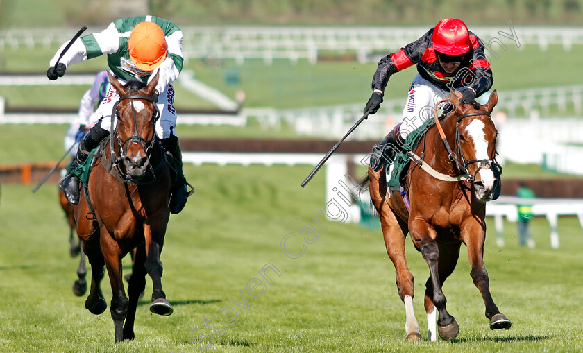 Stylish-Dancer-0004 
 STYLISH DANCER (left, Harry Skelton) beats CUBSWIN (right) in The Arkells Brewery Fillies Juvenile Handicap Hurdle Cheltenham 19 Apr 2018 - Pic Steven Cargill / Racingfotos.com