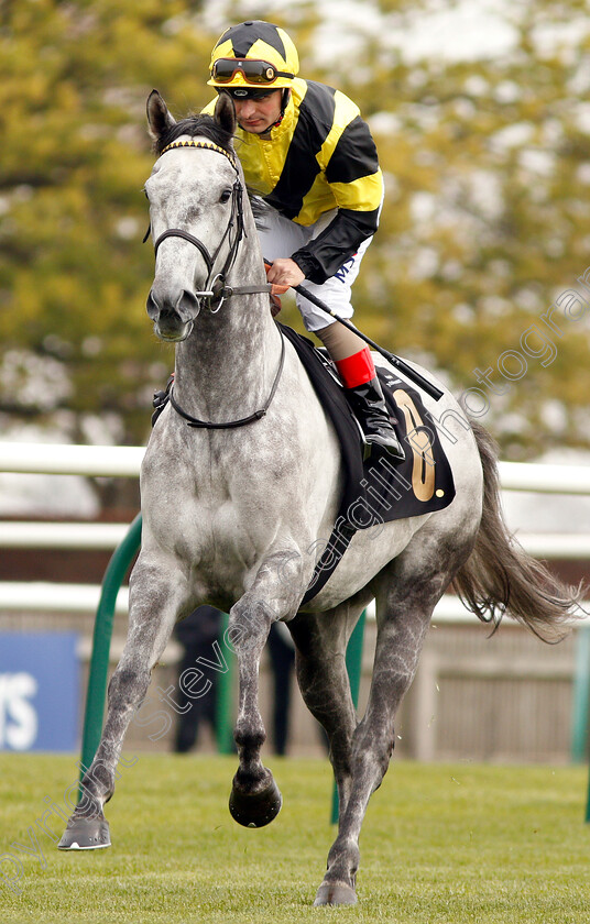 Specialise-0001 
 SPECIALISE (Andrea Atzeni)
Newmarket 16 Apr 2019 - Pic Steven Cargill / Racingfotos.com