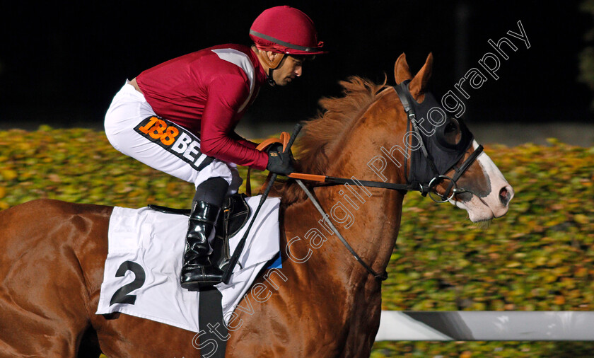 Solomon s-Bay-0001 
 SOLOMON'S BAY (Silvestre De Sousa) winner of The ebfstallions.com Conditions Stakes Kempton 11 Oct 2017 - Pic Steven Cargill / Racingfotos.com