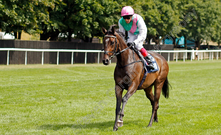 Elegant-Verse-0001 
 ELEGANT VERSE (Frankie Dettori)
Newmarket 30th July 2022 - Pic Steven Cargill / Racingfotos.com