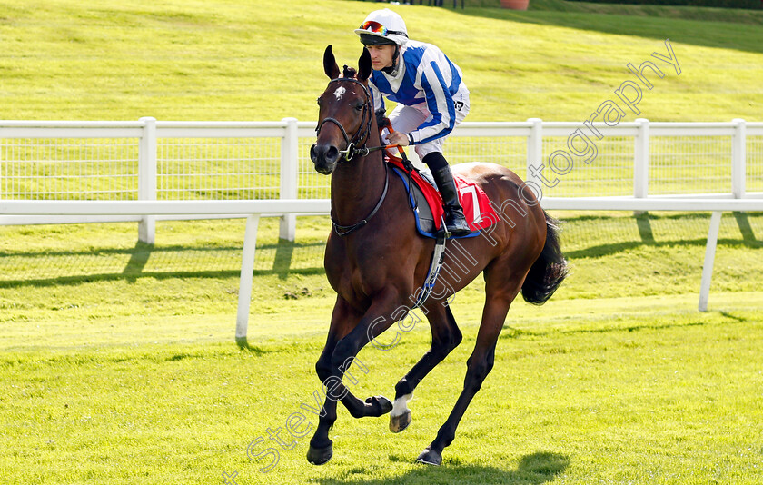 History-Writer-0001 
 HISTORY WRITER (Richard Kingscote) Sandown 1 Sep 2017 - Pic Steven Cargill / Racingfotos.com