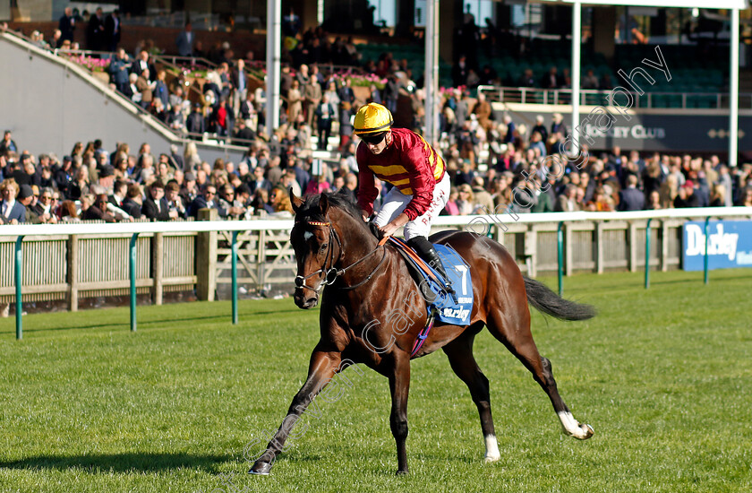 Iberian-0002 
 IBERIAN (Tom Marquand)
Newmarket 14 Oct 2023 - Pic Steven Cargill / Racingfotos.com