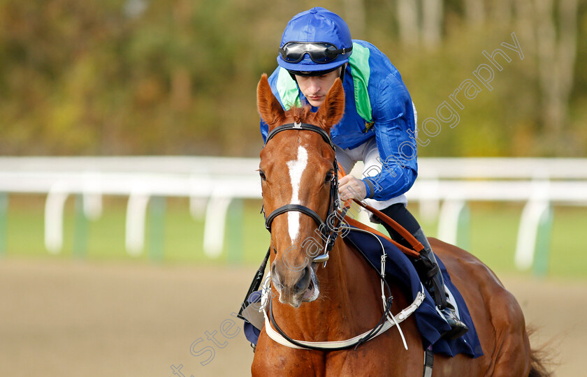 Silver-Kitten 
 SILVER KITTEN (Richard Kingscote)
Lingfield 28 Oct 2021 - Pic Steven Cargill / Raingfotos.com