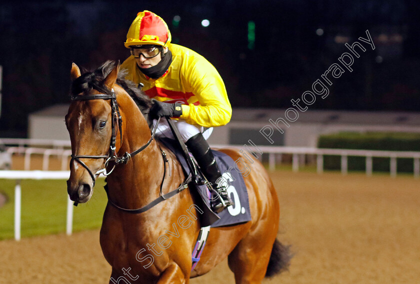 Vulcan-Way-0001 
 VULCAN WAY (George Wood)
Wolverhampton 20 Dec 2025 - Pic Steven Cargill / Racingfotos.com