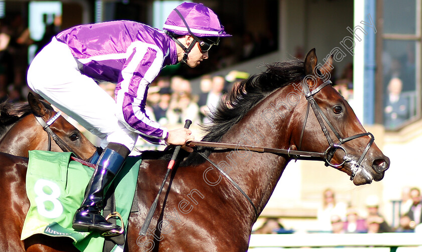 Ten-Sovereigns-0009 
 TEN SOVEREIGNS (Donnacha O'Briens) wins The Juddmonte Middle Park Stakes
Newmarket 29 Sep 2018 - Pic Steven Cargill / Racingfotos.com