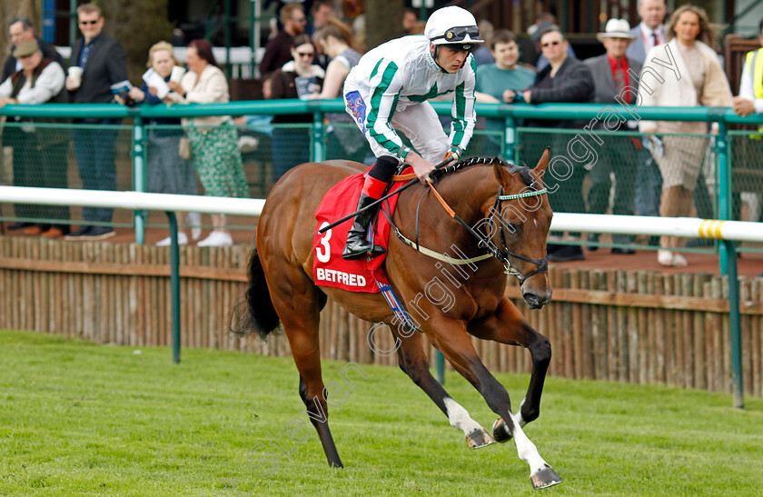 Alaskan-Gold-0001 
 ALASKAN GOLD (Clifford Lee)
Haydock 25 May 2024 - Pic Steven cargill / Racingfotos.com