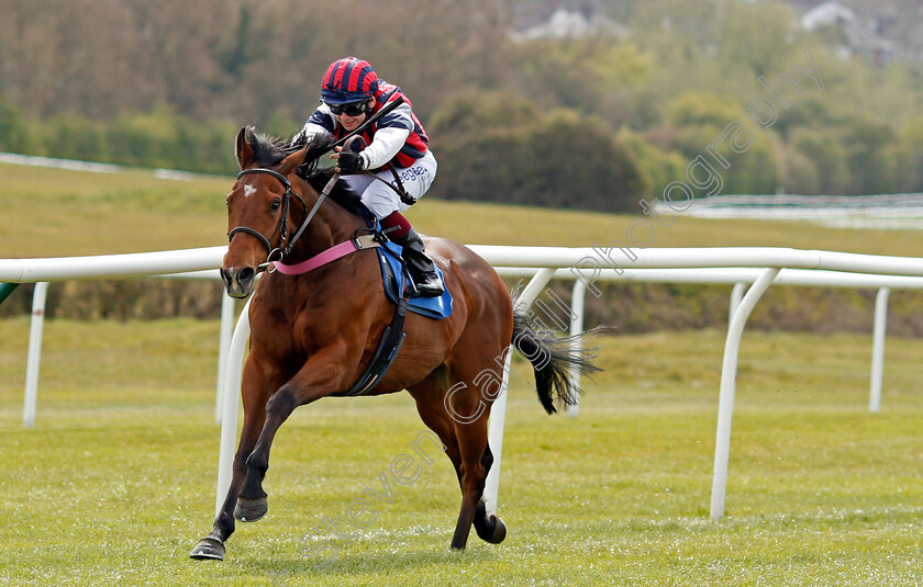 Mr-Zee-0003 
 MR ZEE (Marco Ghiani) wins The Follow Us On Twitter @leicesterraces Handicap Div1
Leicester 24 Apr 2021 - Pic Steven Cargill / Racingfotos.com