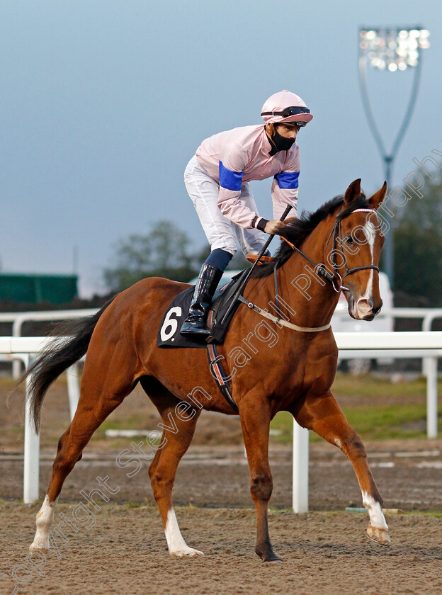 Mazzorbo-0001 
 MAZZORBO (George Downing)
Chlmsford 15 Oct 2020 - Pic Steven Cargill / Racingfotos.com