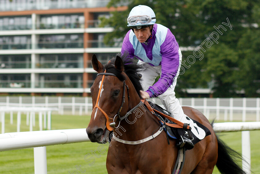 Rocket-Dancer-0001 
 ROCKET DANCER (Jim Crowley)
Newbury 13 Jun 2019 - Pic Steven Cargill / Racingfotos.com