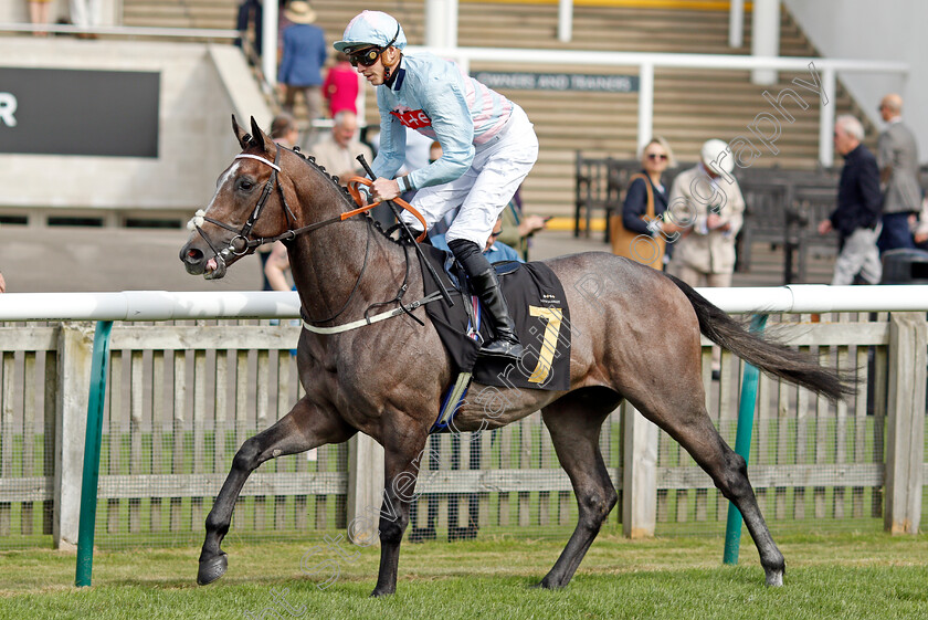 Sarsons-Risk-0002 
 SARSONS RISK (James Doyle)
Newmarket 23 Sep 2021 - Pic Steven Cargill / Racingfotos.com