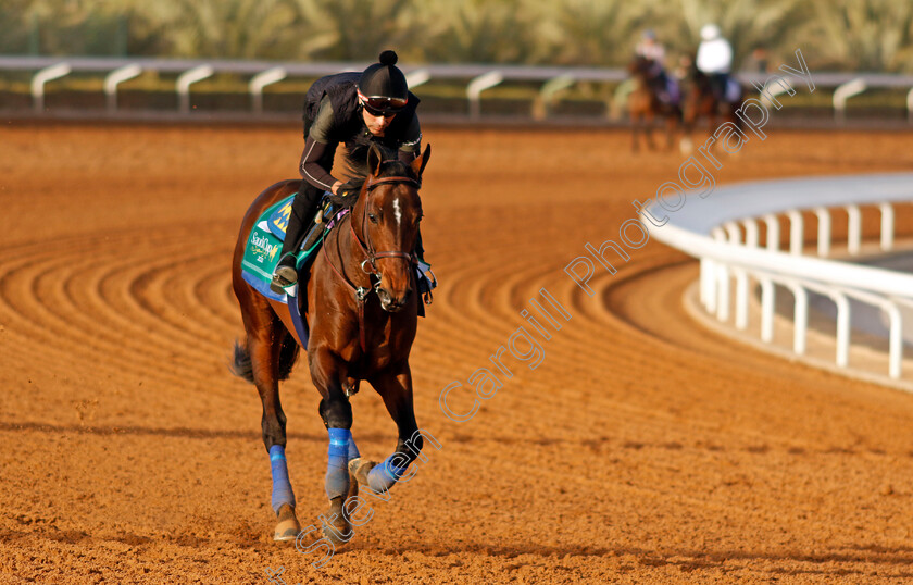 Country-Grammer-0007 
 COUNTRY GRAMMER training for The Saudi Cup
King Abdulaziz Racecourse, Kingdom Of Saudi Arabia, 23 Feb 2023 - Pic Steven Cargill / Racingfotos.com