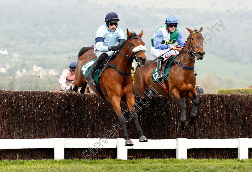 Aunty-Ann-0001 
 CABARET QUEEN (left, Harry Skelton) with AUNTY ANN (right, Jordan Nailor)
Cheltenham 18 Apr 2019 - Pic Steven Cargill / Racingfotos.com