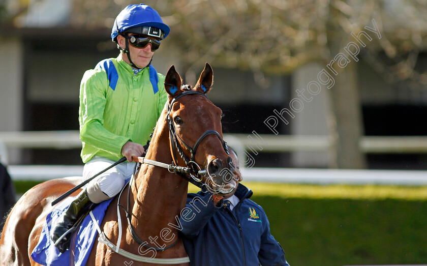 Austrian-Theory-0001 
 AUSTRIAN THEORY (Joe Fanning)
Kempton 10 Apr 2023 - Pic Steven Cargill / Racingfotos.com