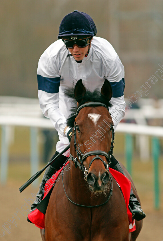 Headway-0003 
 HEADWAY (James Doyle) winner of The 32Red Spring Cup Stakes Lingfield 3 Mar 2018 - Pic Steven Cargill / Racingfotos.com