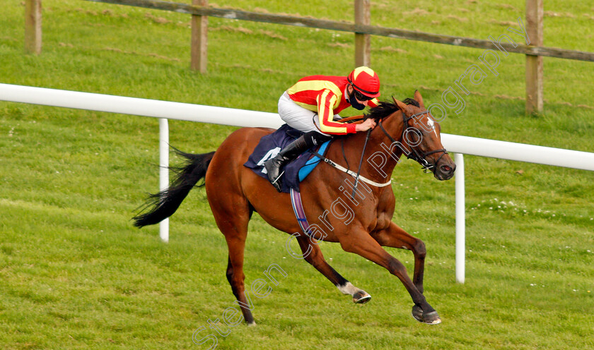 Singing-The-Blues-0010 
 SINGING THE BLUES (Daniel Muscutt) wins The valuerater.co.uk Handicap
Bath 18 Jul 2020 - Pic Steven Cargill / Racingfotos.com