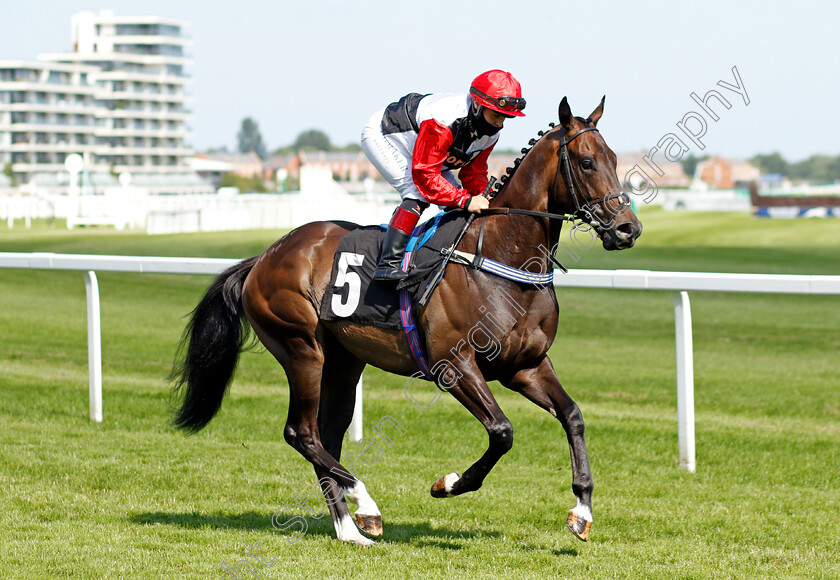 Keep-It-Brief-0001 
 KEEP IT BRIEF (Lara Pearson)
Newbury 16 Jul 2021 - Pic Steven Cargill / Racingfotos.com