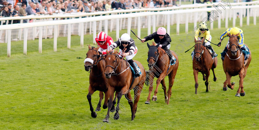 Reach-0006 
 REACH (right, Joanna Mason) beats SISYPHUS STRENGTH (left) in The Assured Data Protection EBF Fillies Handicap
York 25 Aug 2023 - Pic Steven Cargill / Racingfotos.com