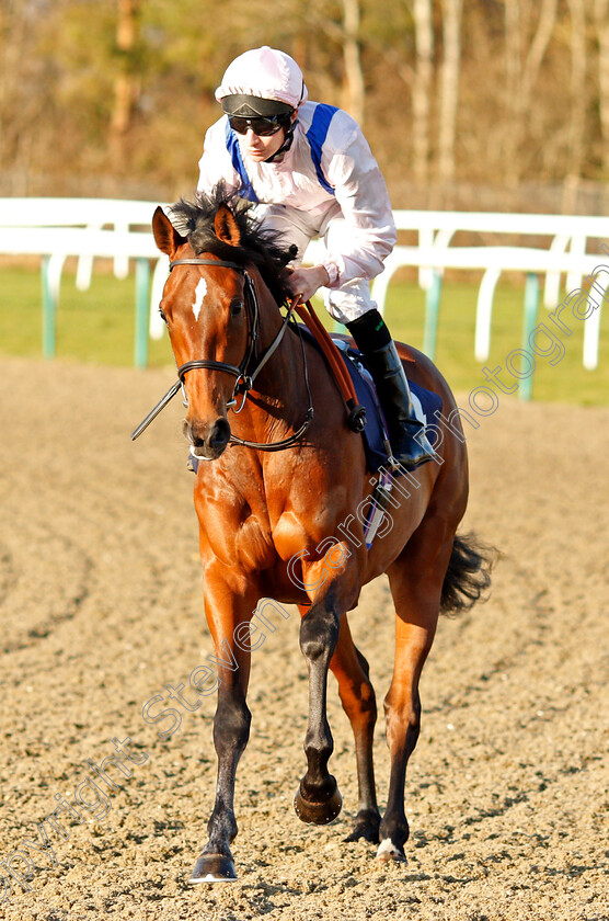 Glorious-Caesar-0001 
 GLORIOUS CAESAR (Luke Morris)
Lingfield 10 Jan 2020 - Pic Steven Cargill / Racingfotos.com