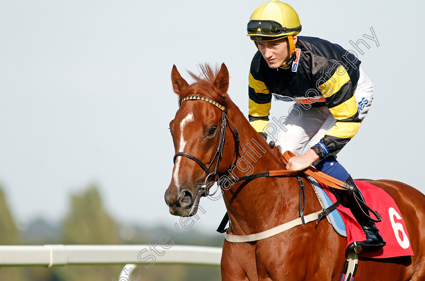 Craneur-0002 
 CRANEUR (David Egan)
Sandown 30 Aug 2019 - Pic Steven Cargill / Racingfotos.com