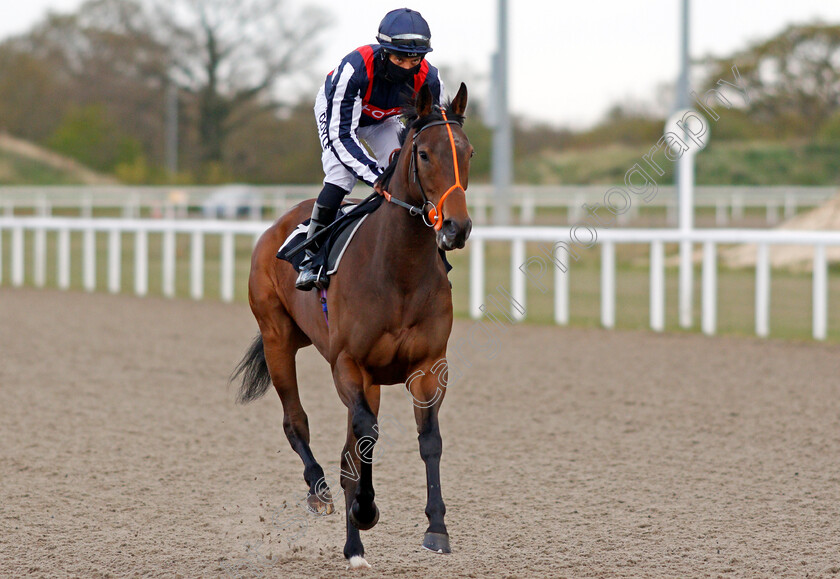 Happy-Romance-0001 
 HAPPY ROMANCE (Sean Levey) winner of The Chelmer Fillies Stakes
Chelmsford 29 Apr 2021 - Pic Steven Cargill / Racingfotos.com