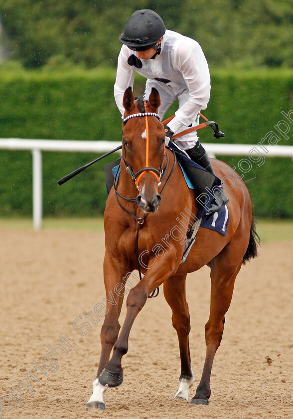 Mon-Frere-0001 
 MON FRERE (Luke Morris)
Wolverhampton 17 Jul 2019 - Pic Steven Cargill / Racingfotos.com