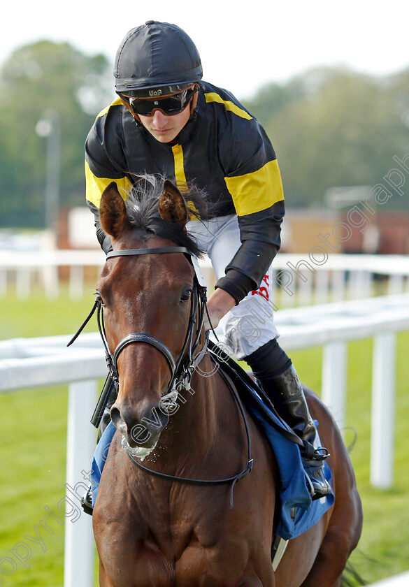 Papa-Ricco-0002 
 PAPA RICCO (Tom Marquand)
York 12 May 2022 - Pic Steven Cargill / Racingfotos.com