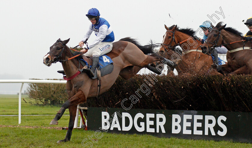 Ibleo-0003 
 IBLEO (Charlie Deutsch) wins The John Honeyball Memorial Novices Handicap Chase
Wincanton 30 Jan 2020 - Pic Steven Cargill / Racingfotos.com