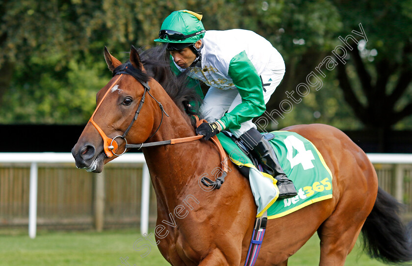 Haatem-0001 
 HAATEM (Sean Levey)
Newmarket 15 Jul 2023 - Pic Steven Cargill / Racingfotos.com