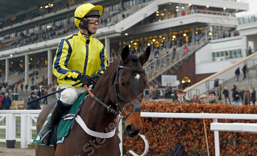 Willmount-0001 
 WILLMOUNT (Nico de Boinville)
Cheltenham 14 Dec 2024 - Pic Steven Cargill / Racingfotos.com