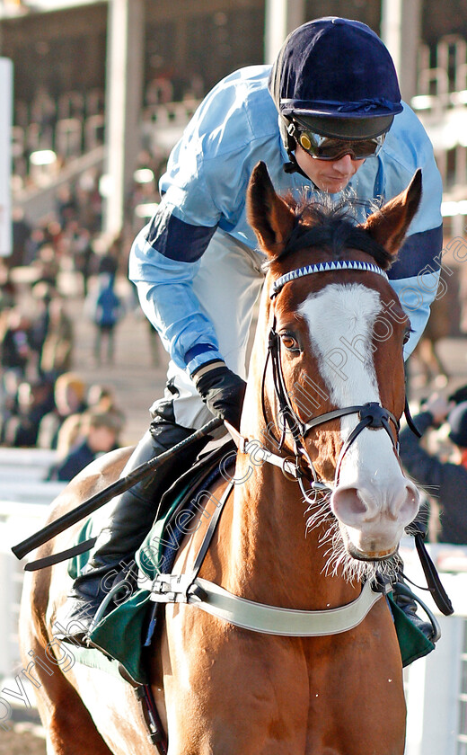 Ballywood-0002 
 BALLYWOOD (Tom Cannon) 
Cheltenham 14 Dec 2019 - Pic Steven Cargill / Racingfotos.com